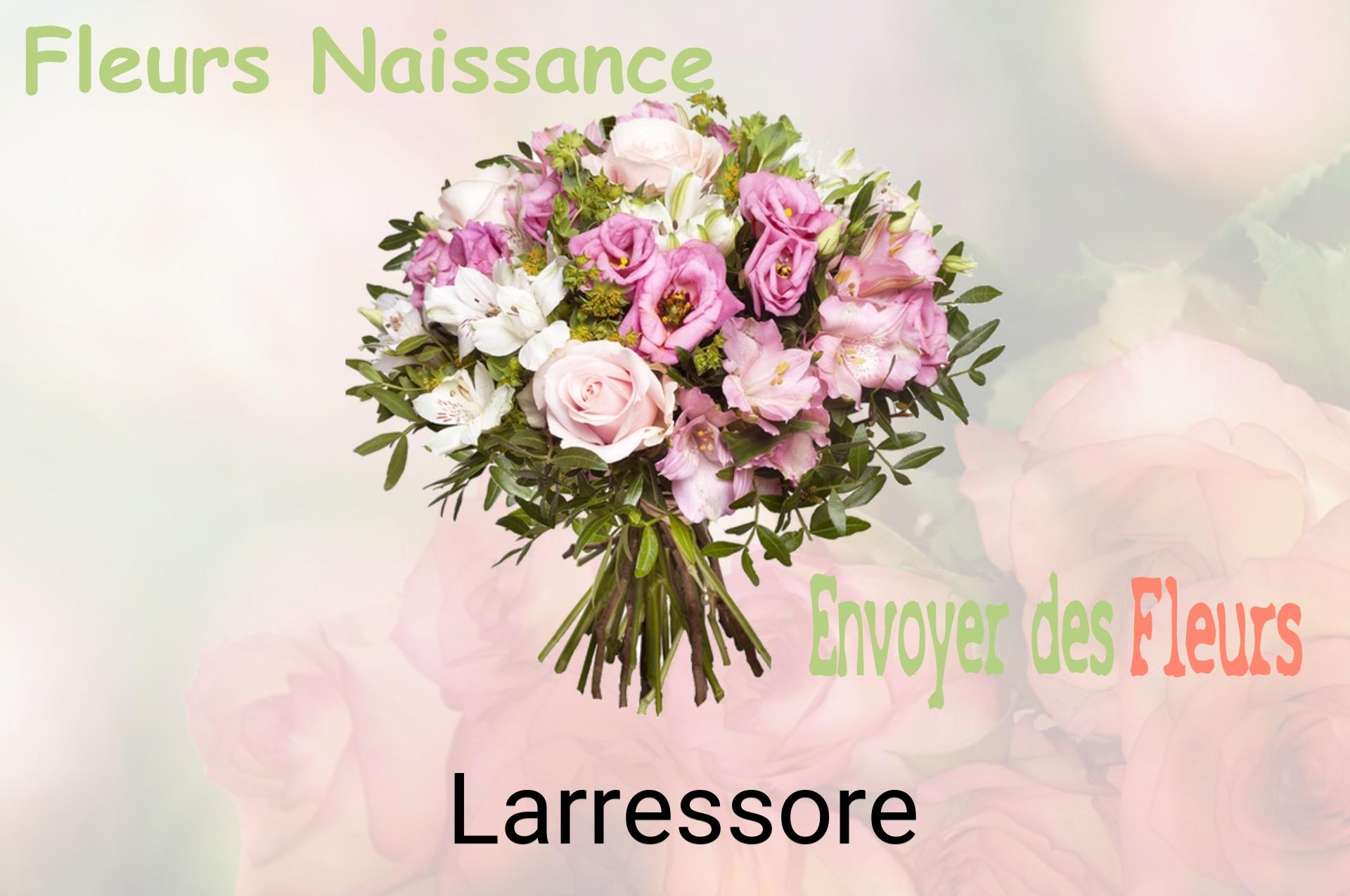 Bouquet de fleurs de naissance livré à Larressore